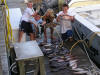 The kids love fishing charters also!