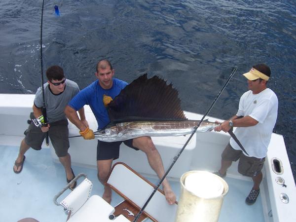 Ready to release a sailfish!
